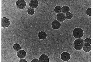 水溶性核壳磁光双功能纳米粒子及其制备方法