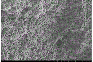 固体多孔聚合物电解质及其制备方法和应用