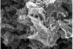 聚吡咯/石墨烯/细菌纤维素导电膜材料的制备方法及其应用