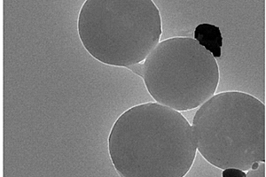 贵金属/聚合物微球Janus粒子及其制备方法
