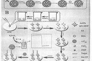 用于CYP2C19*2检测的电化学传感器