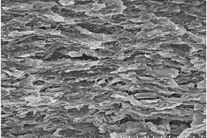 纤维素/层状氮化硼高介电纳米复合膜及其制备方法