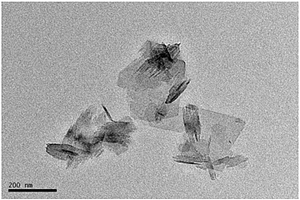 羟基磷灰石纳米片接枝聚合物材料及其制备方法