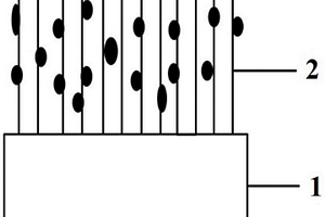 Si衬底上InGaN纳米柱@Ti-Ni纳米粒子复合结构及其制备方法与应用