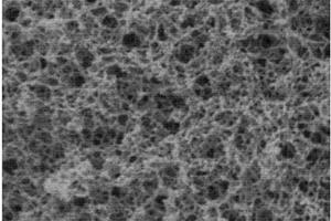 以生物质纳米纤丝化纤维素为模板制备无机氧化物气凝胶的方法