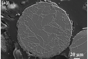 核壳结构的钛基复合粉末及其制备方法和应用