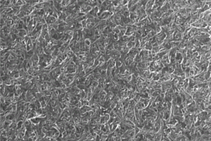 碳纳米复合薄膜的制备方法及用途