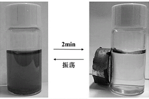 双功能磁性荧光纳米复合Fe<Sub>3</Sub>O<Sub>4</Sub>@CDs微球的制备方法