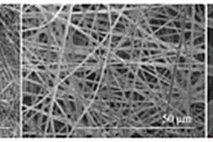 Co/Ni-Keggin型杂多酸-碳纳米纤维电极及其制备方法和应用