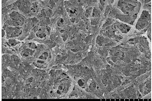 甲壳素纳米纤维/聚苯胺复合膜的制备方法