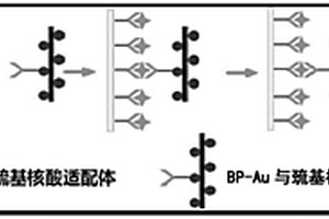 检测Aβ<sub>1-42</sub>寡聚体的比色生物传感器