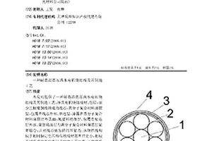 耐高温高压潜水电机绕组线及其制造工艺