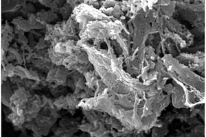 氮掺杂碳纤维/氮掺杂石墨烯/细菌纤维素膜材料的制备方法及其应用