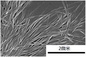碳酸钙增强蚕丝织物及其制备方法