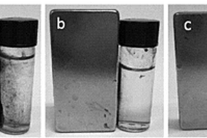 磁性氧化石墨烯-壳聚糖/葡聚糖复合物的制备方法及应用