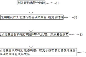 碳纳米漆包线及其制备方法