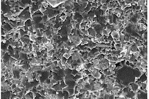 高致密度铁氧体-碳纳米管复合块体材料的制备方法