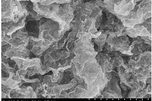 石墨烯负载纳米银镍合金复合粉体材料的制备方法