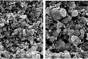 螯合功能性纳米银的制备方法及其应用