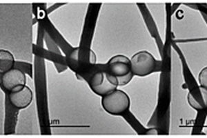 珍珠项链多级结构MoS<Sub>2</Sub>@C-CNFs钠离子电池负极材料及其制备方法