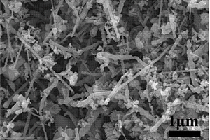合成纳米碳化硅晶须的方法