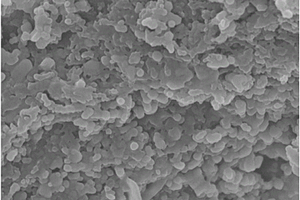 二氧化钛基活性炭纤维复合催化剂及其制备方法和用途