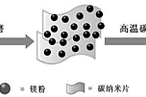 用于镁硫电池负极的碳包覆镁纳米颗粒及其制备方法