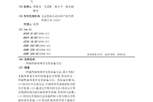 磁性碳纳米管及其制备方法