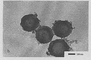 极性可控聚合物微球的制备方法
