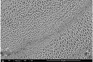 高耐蚀性原位纳米碳化物增强不锈钢植入体及其成形方法