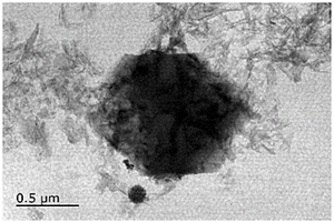 MOF衍生的Ni-Co-S纳米颗粒生长在碳布上的复合电极制备方法及其应用