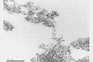 金属掺杂氧化锌纳米颗粒包覆碳纳米管的方法