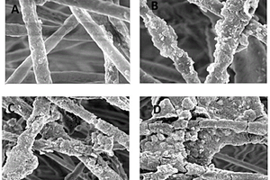 抗菌聚乳酸纳米纤维及其制备方法和应用