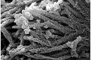 多孔核-壳异质结构的三维纳米结构材料的制备方法