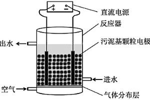 功能化污泥基碳三维颗粒电极的制备及其应用