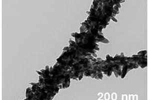 负载二氧化钛纳米薄膜和四氧化三铁纳米颗粒的碳纤维材料的制备方法、产品及应用