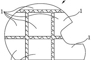安全帽帽壳的初胚结构