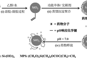 pH刺激响应型无机纳米粒子/聚合物复合药物载体及其制备方法和应用