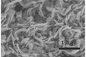 铟-三氧化二铟异质纳米材料复合电催化剂及其制备方法和应用