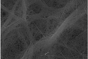 自支撑钠离子电池负极的合成方法