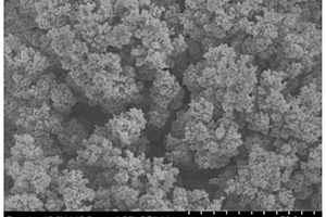 镍钴硫/镍网复合析氢析氧电极及其制备方法