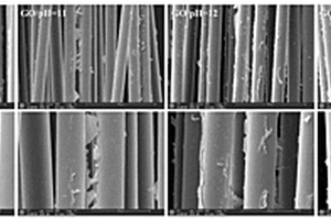 可控还原氧化石墨烯修饰的碳纤维及其用途