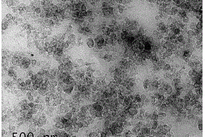 高分散碳纳米复合母胶的制备方法