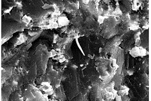 碳纳米管增强金刚石复合片材料的制备方法