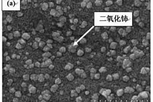 碳硫复合正极及其制备方法和应用