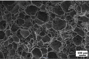 纳米纤维素增强聚丙烯发泡材料及其制备方法