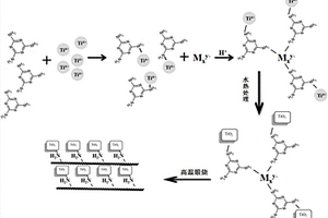 高暴露(001)晶面TiO2/g‑C3N4复合光催化剂的制备方法