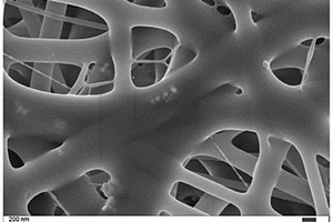 纳米纤维及其制备方法、埋入式电容材料