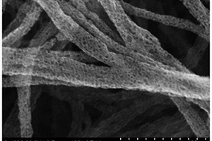 核壳结构的氮掺杂多孔碳电催化剂的制备方法