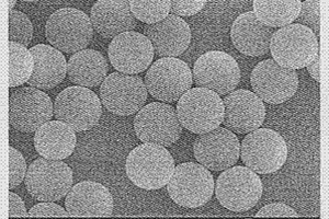 形貌可控的聚苯乙烯/聚苯胺导电高分子复合微球的制备方法